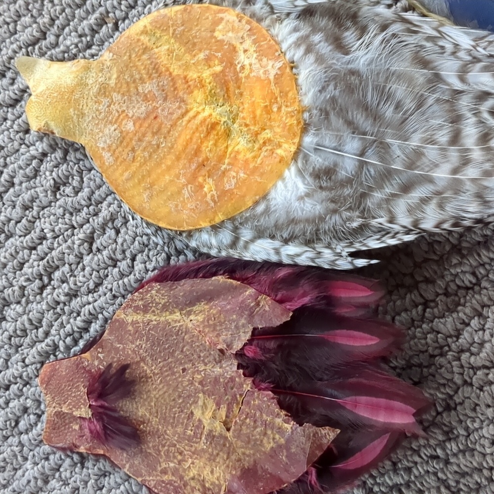 Authentic Feather Collection - Picture 8 of 9